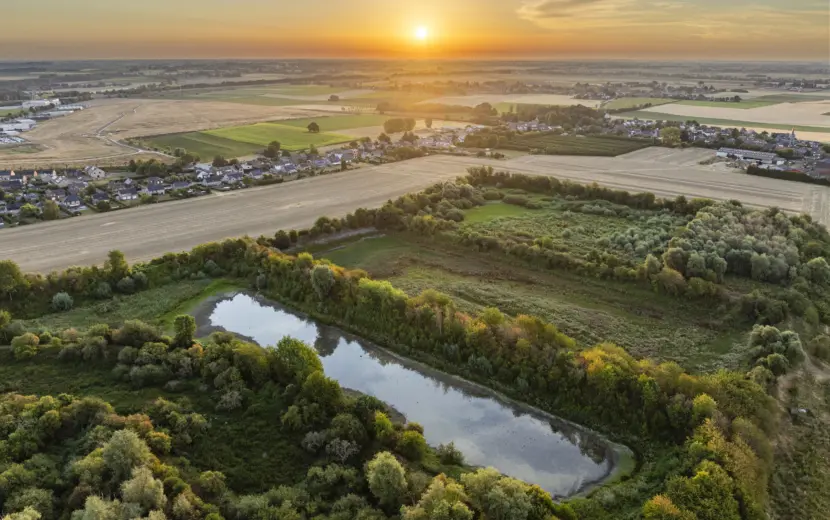 Nestlé en partners creëren circulair wetland in Borgworm