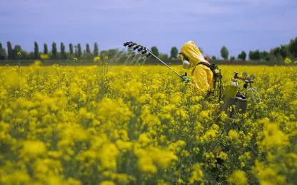 bijendodende pesticiden