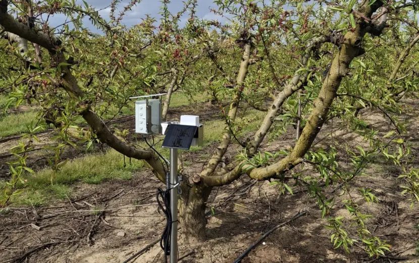 Google en Agua Segura beschermen Belgisch grondwater met AI-precisielandbouw