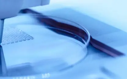Bio_inx_3D