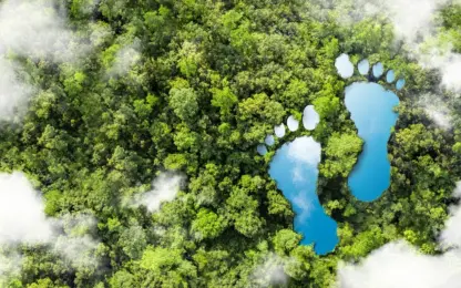 De CO2-voetafdruk die indruk maakt