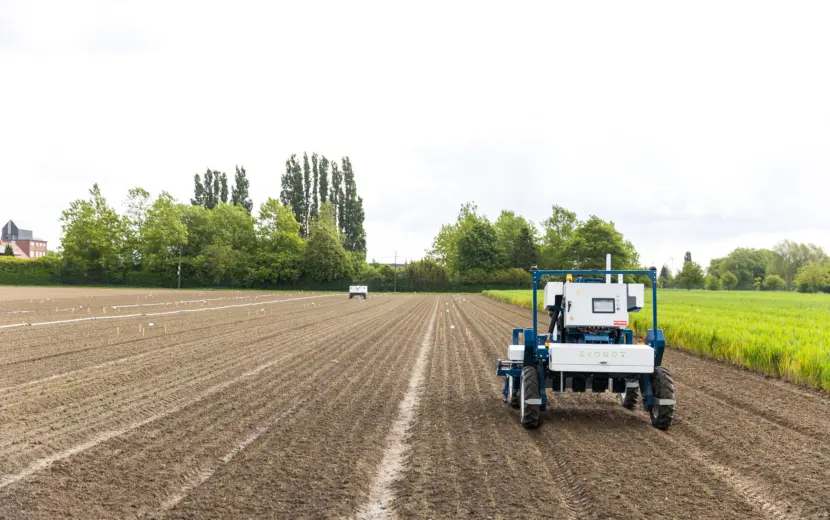 AI in het groenteveld