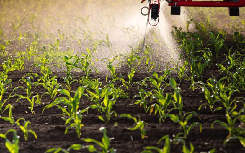 Steun voor verbod op PFAS-pesticiden groeit, Vlaamse regering aarzelt