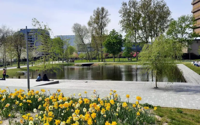 Honderd miljoen euro voor verduurzamen campus van Technische Universiteit Delft