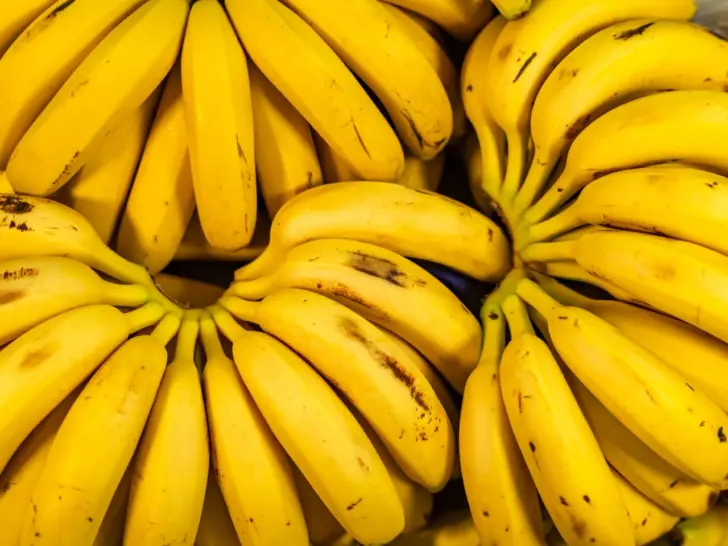 Chiquita en The Banana Factory redden 2,2 miljoen bananen