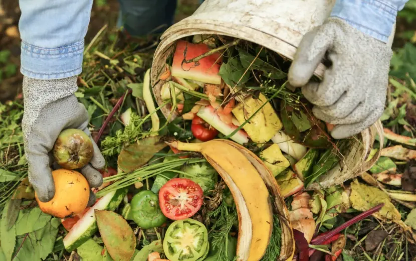 Chirojongeren verspillen minder eten op kamp met slimme buffettips