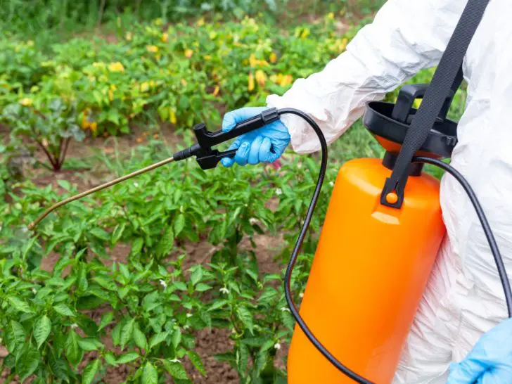 glyfosaat_pesticide_EU