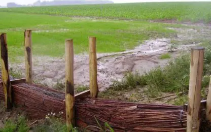 Nieuwe website helpt landbouwers om bodem-erosie tegen te gaan