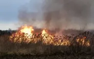 Natuurbranden in Vlaanderen: waarom ecologie en brandveiligheid samengaan