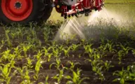 OVAM vindt pesticidenresiduen in 44 procent van Vlaamse bodemstalen