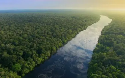 Amazonewoud minder gezond dan gedacht