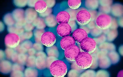 Vervuiling is voedingsbodem voor superbacteriën