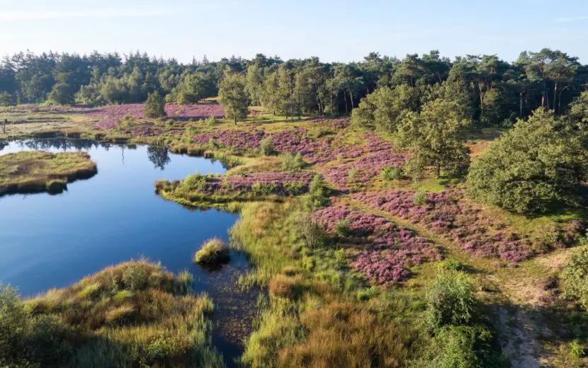 EU verplicht beter landgebruik, ook in België