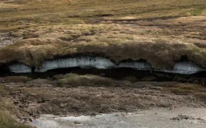 Hoe bezorgd moeten we zijn over oude ziektekiemen die vrijkomen uit smeltende permafrost?