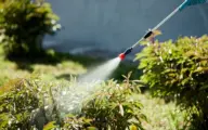 Pesticiden