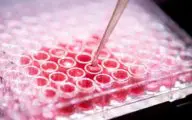 Synthetische biologie kan heel wat industrieën ontwrichten