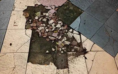 Vlaanderen wipt bijna 1,5 miljoen tegels tijdens Vlaams Kampioenschap Tegelwippen