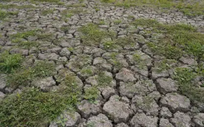Verharde oppervlakte neemt opnieuw toe in Vlaanderen