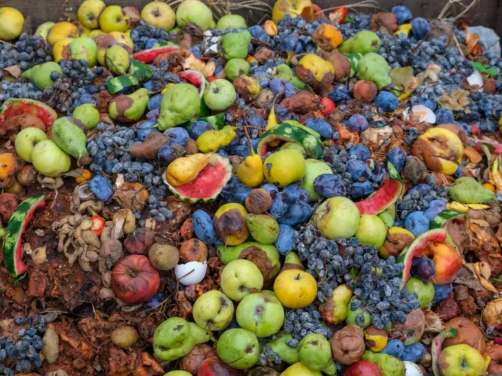 Wereldwijde NGO’s roepen COP31 op tot actie tegen voedselverspilling