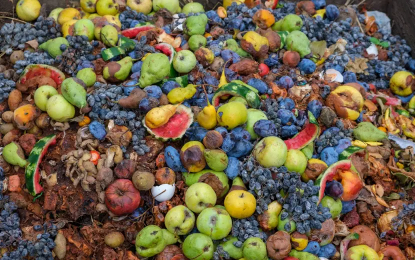 Voedselverspilling: de vergeten klimaatbom