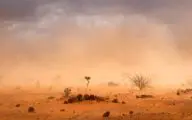 Climate,Change,In,Africa:,Dramatic,Dusty,Sandstorm,Blowing,Sand,And