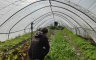 Gezonde grond: (bio) winkelen in de velden