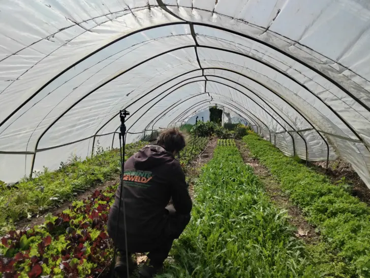 Gezonde grond: (bio) winkelen in de velden