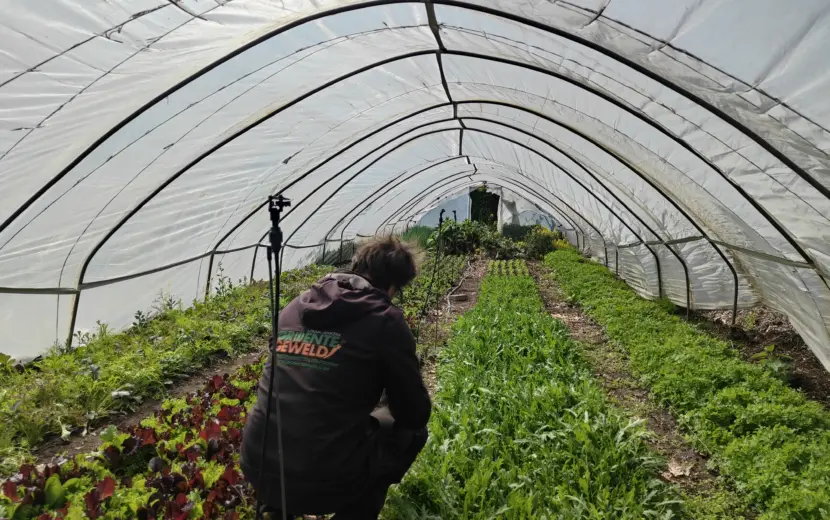 Gezonde grond: (bio) winkelen in de velden