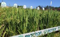 Biotrop_Crops_overname_biobest