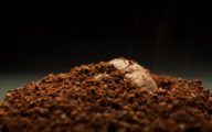 Grounds Up_coffee grounds2