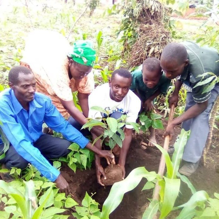 Project boslandbouw in Oeganda: samen met de lokale boeren. (beeld: Moya De Feyter)