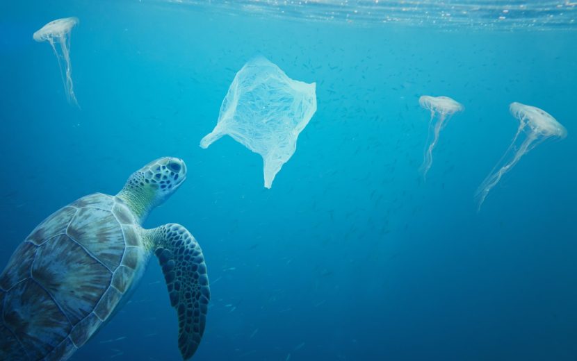 plastic vervuiling oceaan