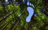 CO2 ecologische voetafdruk carbon footprint