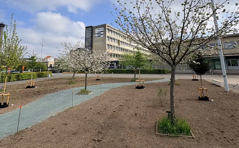 Hotelschool PIVA vervangt 1.500 m² beton door eetbare groene speelplaats