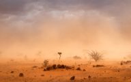 Climate,Change,In,Africa:,Dramatic,Dusty,Sandstorm,Blowing,Sand,And