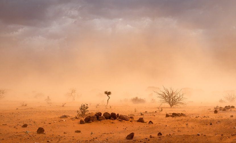 Climate,Change,In,Africa:,Dramatic,Dusty,Sandstorm,Blowing,Sand,And